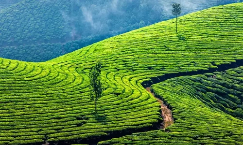 valparai to munnar cab booking